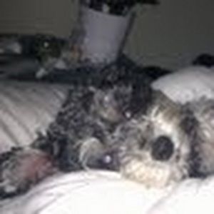 Meet your Posher, Sara beth